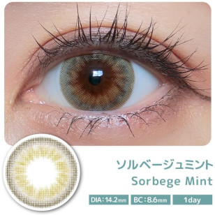 COLOR MAJORITY 1Day Sorbege Mint カラーマジョリティー ソルベージュミント